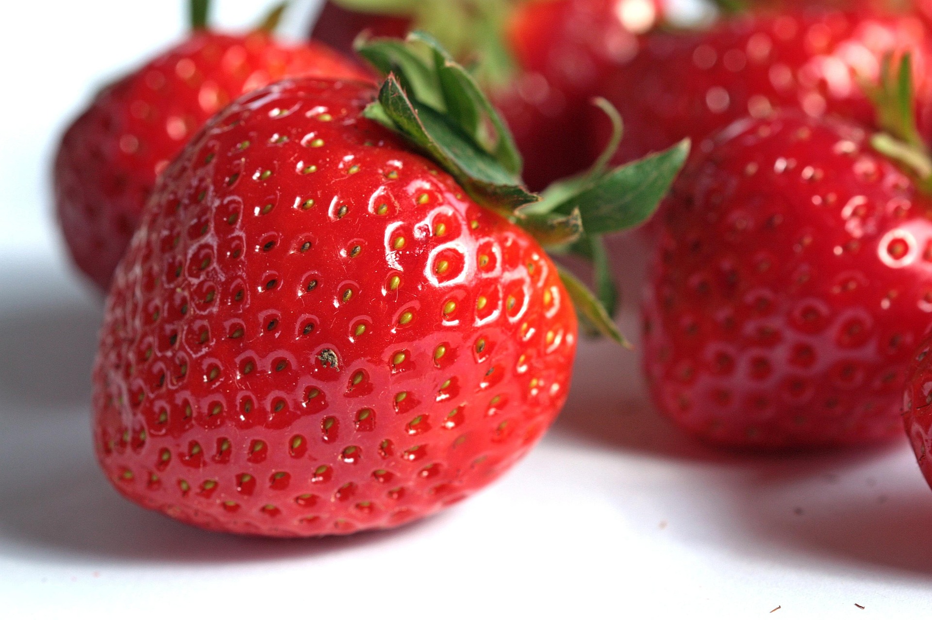 lato